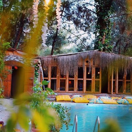 Kayserkaya Cottages Selçuk Dış mekan fotoğraf